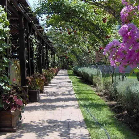 Apartament In Trakia Plaza Complex Słoneczny Brzeg